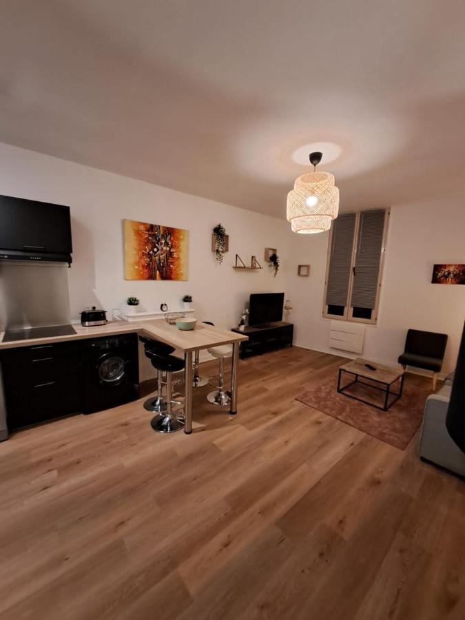 Le Saint Jean , Centre Historique, Wifi, Tout Equipe, Ideal Famille, Business, Ou Simple Escapade Niort Eksteriør billede