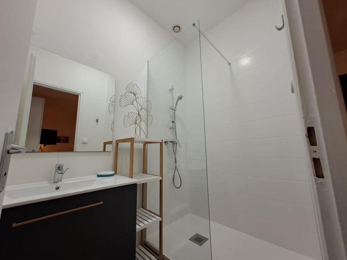 Le Saint Jean , Centre Historique, Wifi, Tout Equipe, Ideal Famille, Business, Ou Simple Escapade Niort Eksteriør billede